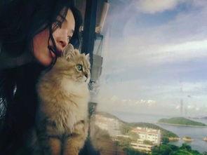 娱乐吃瓜君与猫